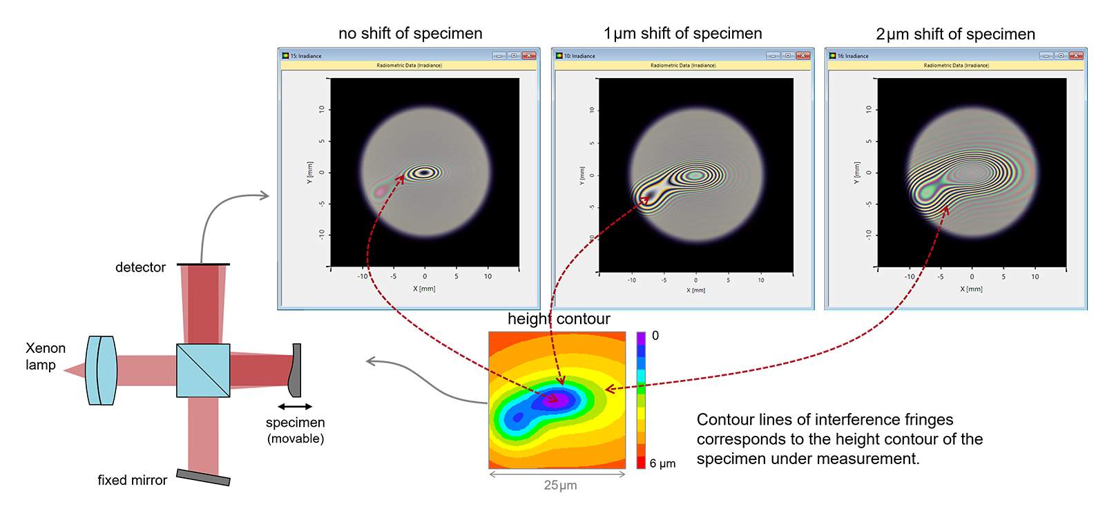 Working principle of optical coherence tomography